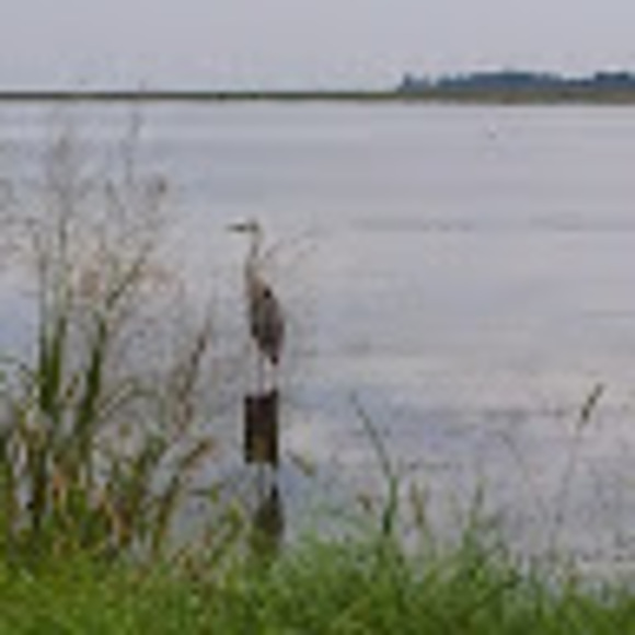 Meet your Posher, Sara - Picture 1 of 1